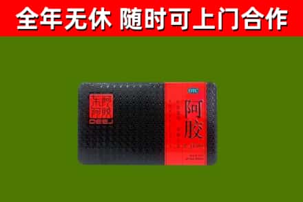 湾沚区回收阿胶